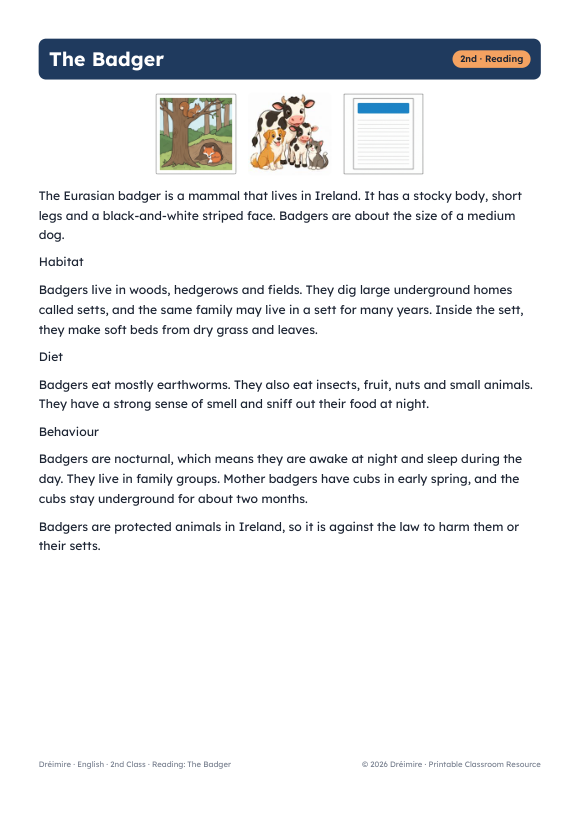 Reading comprehension text about the badger