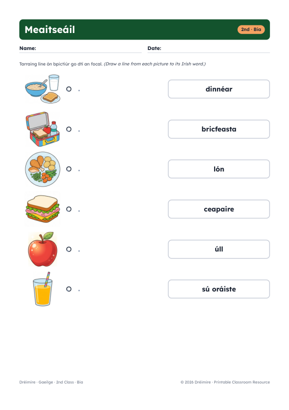 Gaeilge picture matching activity